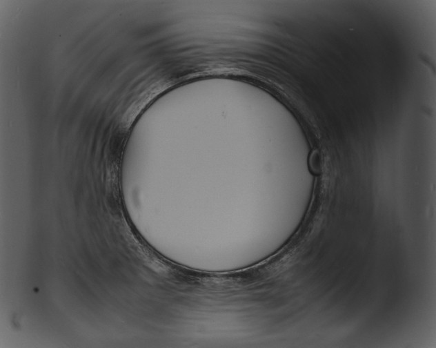 X0000103251281200809251342