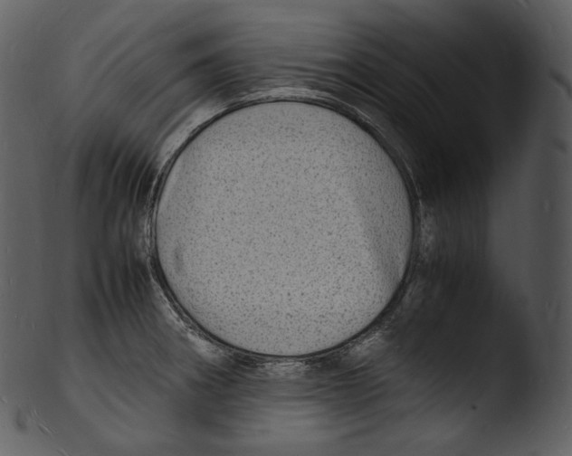 X0000103251282200809251342