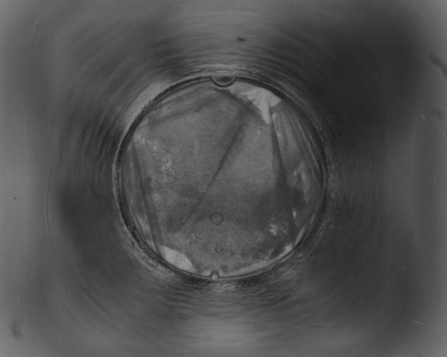 X0000103251283200809251342