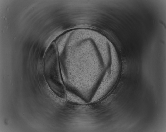 X0000103251284200809251342
