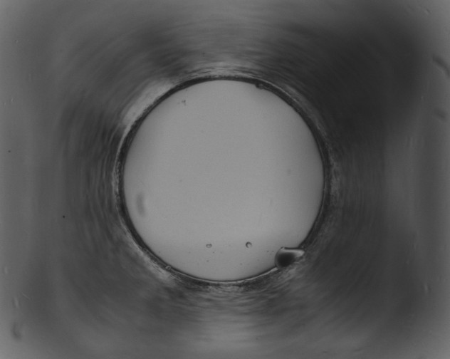 X0000103251285200809251342