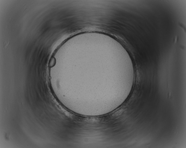X0000103251286200809251342