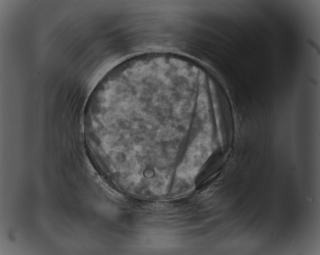 X0000103251287200809251342