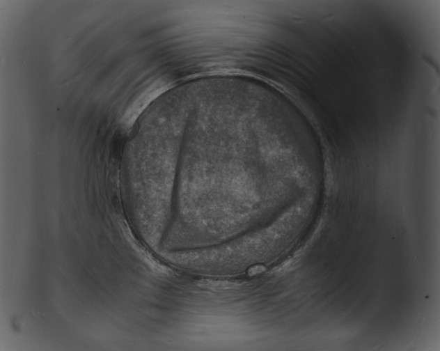 X0000103251289200809251342