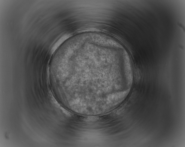 X0000103251290200809251342