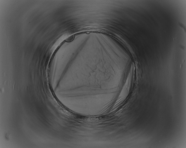 X0000103251291200809251342