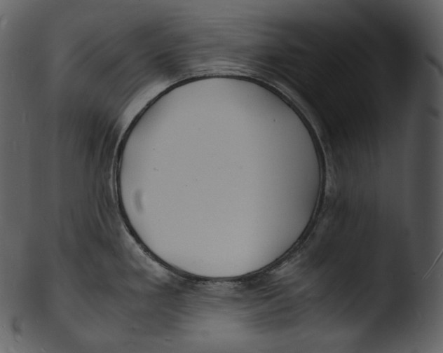 X0000103251293200809251342