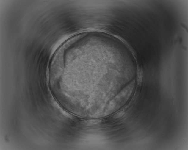 X0000103251294200809251342