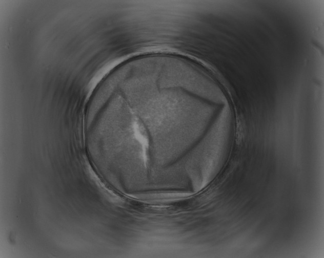 X0000103251295200809251342