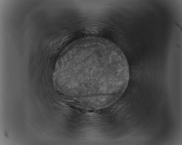 X0000103251297200809251341