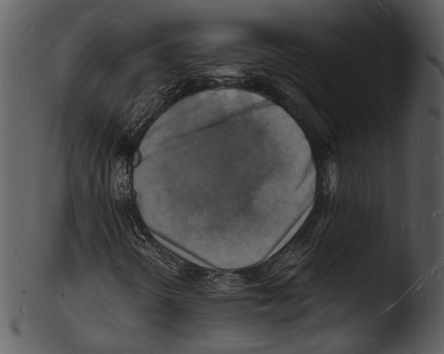 X0000103251298200809251341