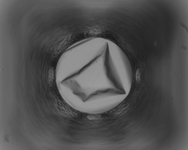 X0000103251299200809251341