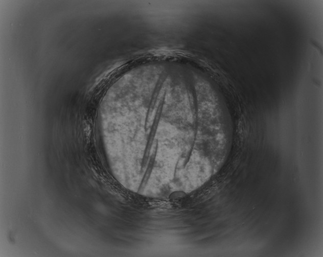 X0000103251302200809251341