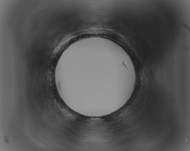 X0000103251304200809251341