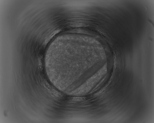 X0000103251305200809251341