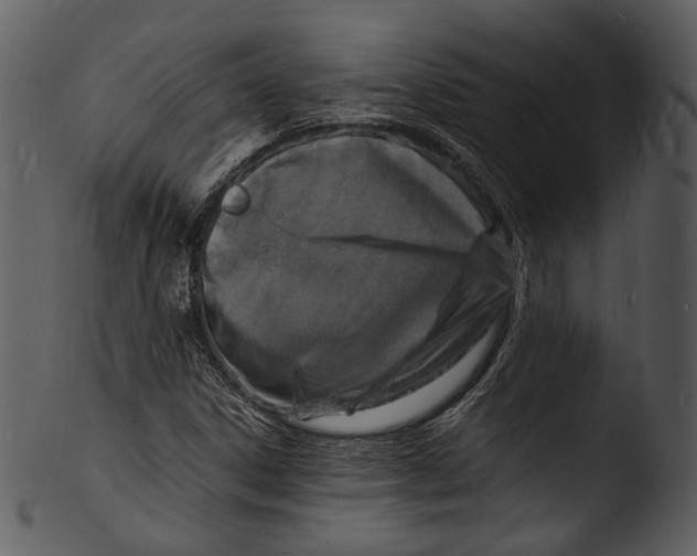 X0000103251306200809251341