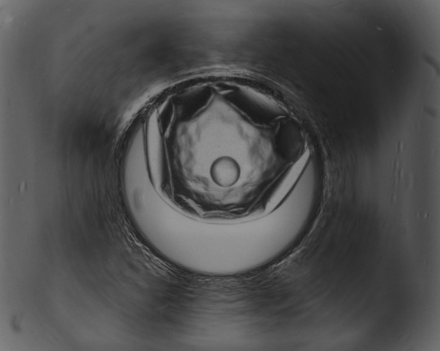 X0000103251310200809251342