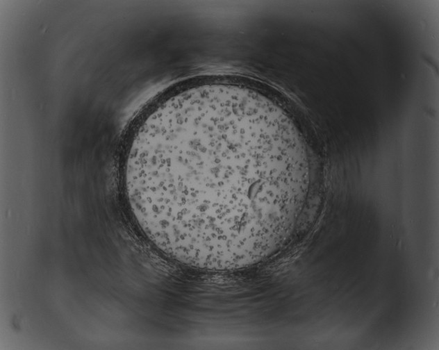 X0000103251311200809251342