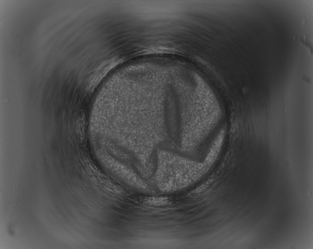 X0000103251313200809251342