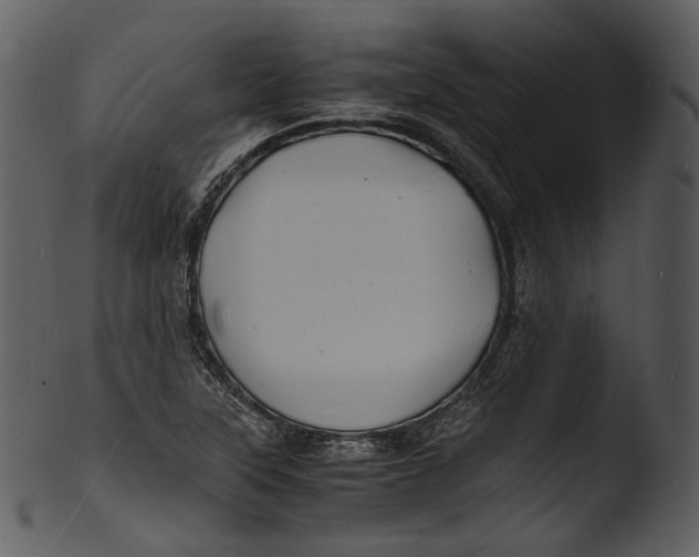 X0000103251315200809251342
