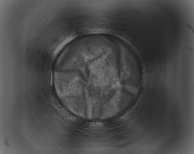 X0000103251317200809251342
