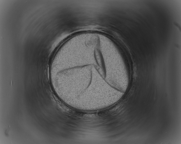 X0000103251320200809251342