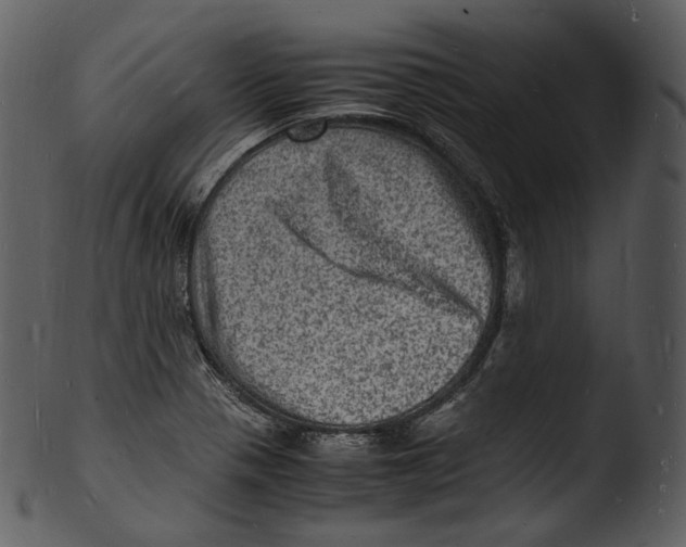 X0000103251321200809251342