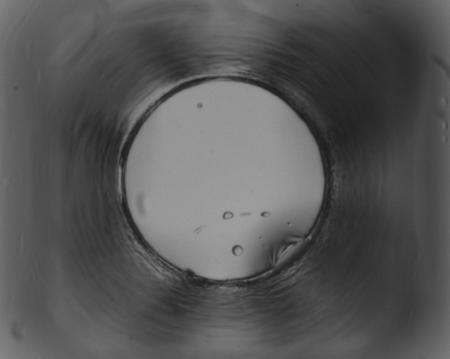 X0000103251324200809251342