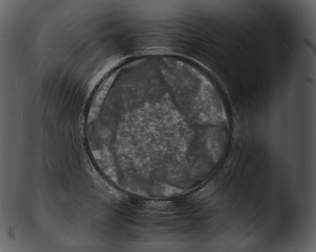 X0000103251325200809251342