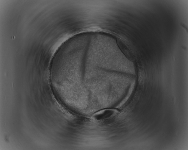 X0000103251326200809251342
