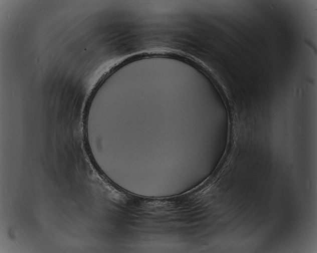 X0000103251327200809251342