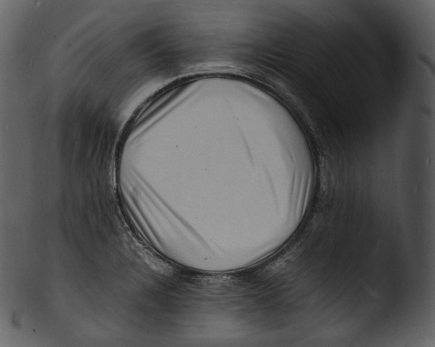 X0000103251328200809251342