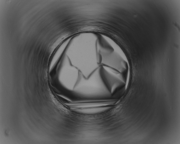 X0000103251330200809251342