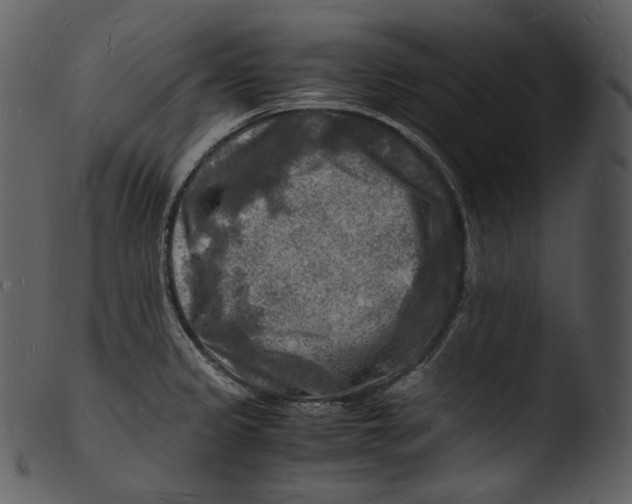 X0000103251333200809251342