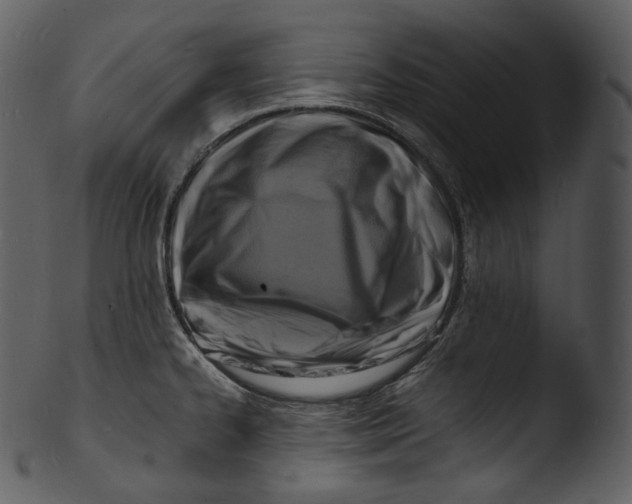 X0000103251334200809251342