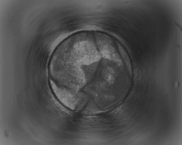 X0000103251335200809251342