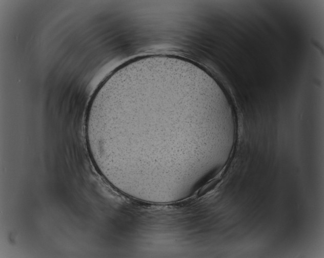 X0000103251336200809251342