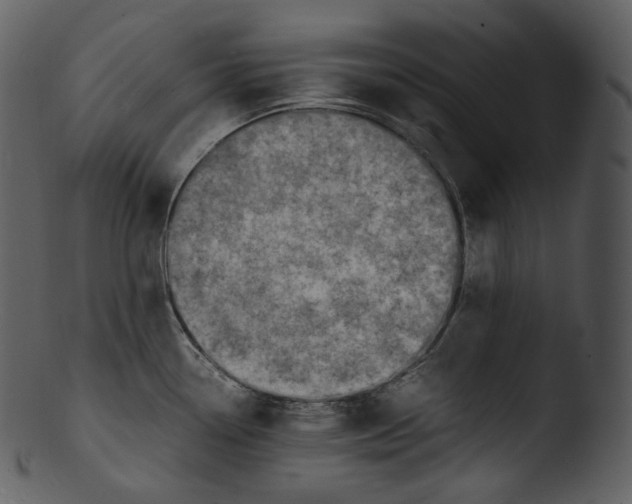 X0000103251338200809251342