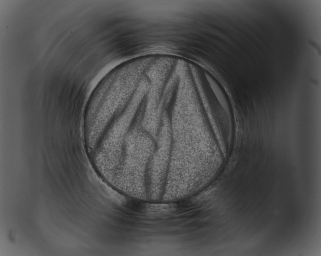 X0000103251339200809251342