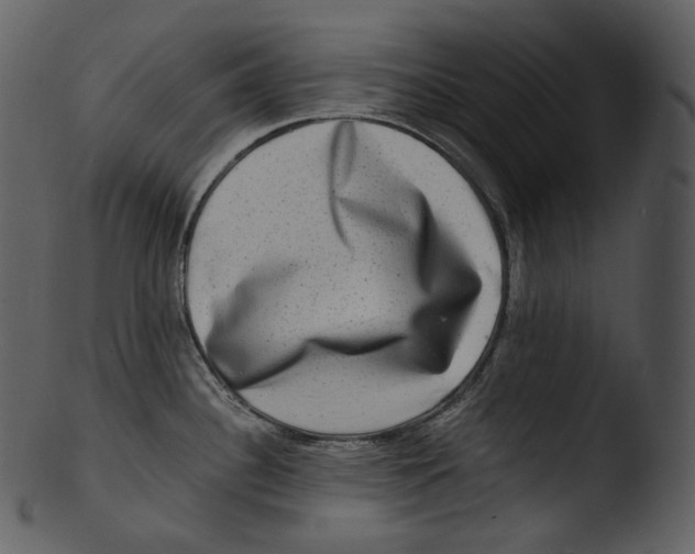 X0000103251340200809251342