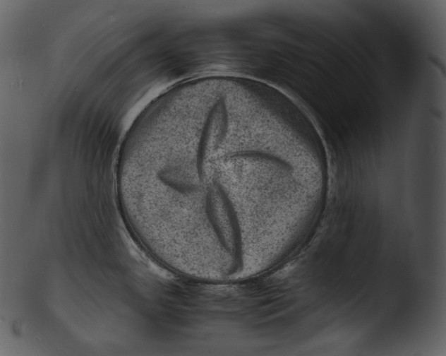 X0000103251341200809251342
