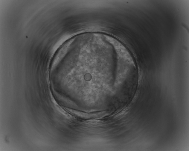 X0000103251342200809251342