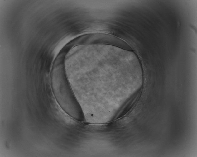 X0000103251344200809251342