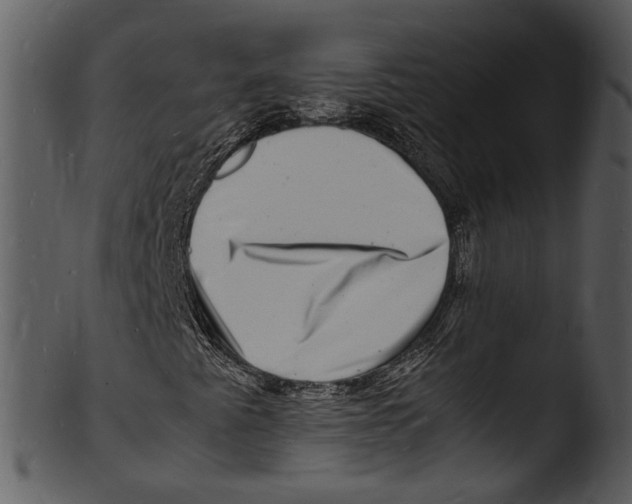 X0000103251345200809251341