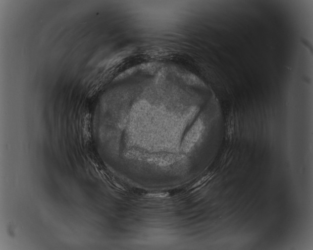 X0000103251346200809251341