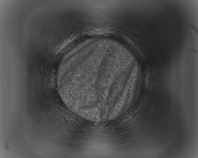 X0000103251350200809251341