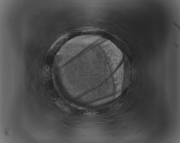 X0000103251351200809251341