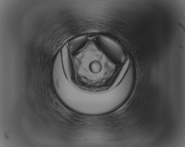 X0000103251353200809251341