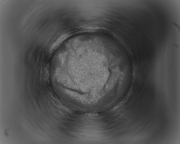 X0000103251354200809251341