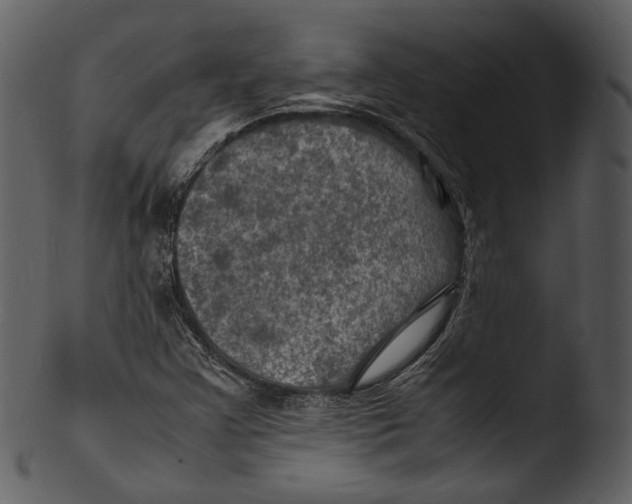 X0000103251355200809251341